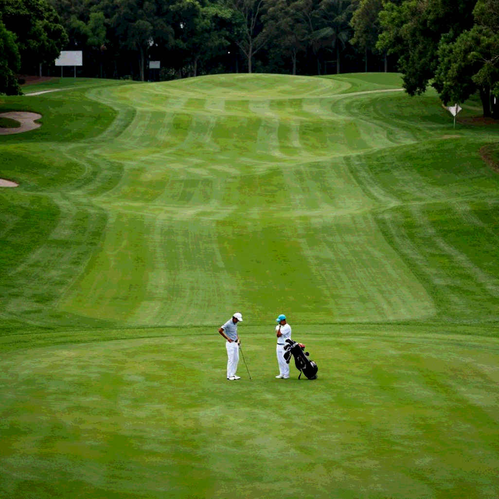 Golf's Data Blind Spot: When 'No Data' Reads as 'Nothing Worth Reporting' Golf's Data Blind Spot: When 'No Data' Reads as 'Nothing Worth Reporting'