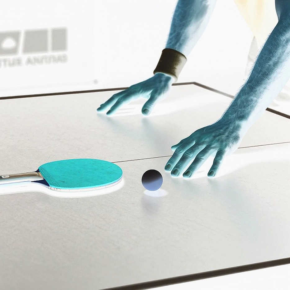 Bóng bàn trẻ và cuộc đua điểm số WTT: Điều gì thực sự quyết định số phận một tay vợt 17 tuổi Bóng bàn trẻ và cuộc đua điểm số WTT: Điều gì thực sự quyết định số phận một tay vợt 17 tuổi