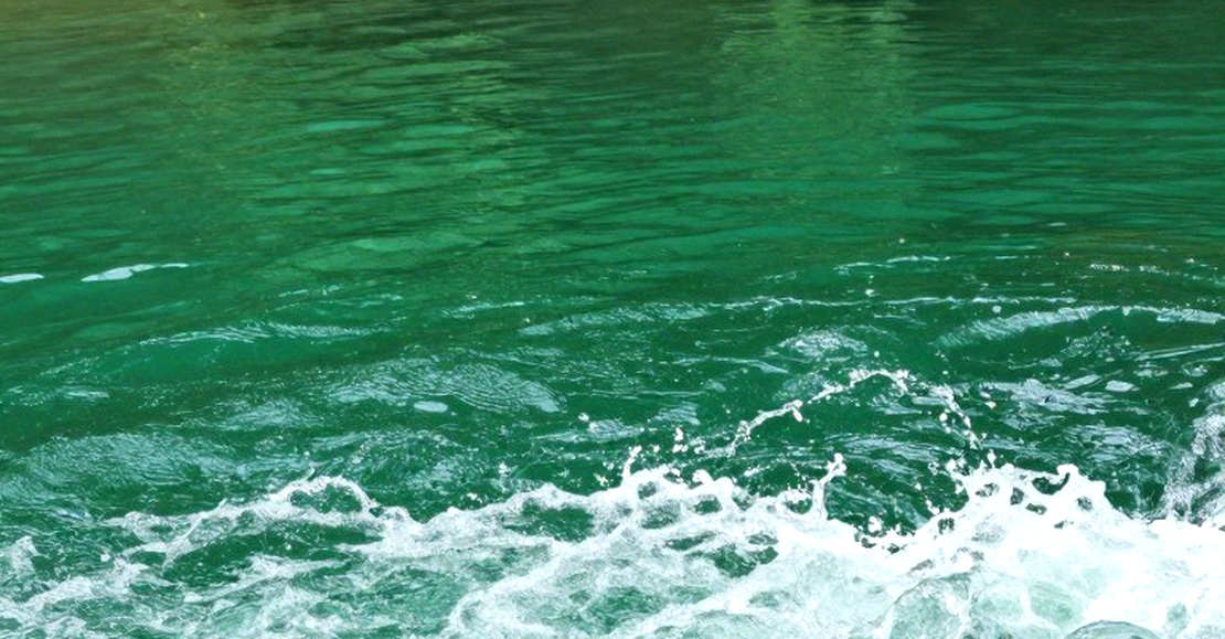 The Track Beneath the Surface — Decoding World Swimming's Cycle After Paris 2026 The Track Beneath the Surface — Decoding World Swimming's Cycle After Paris 2026