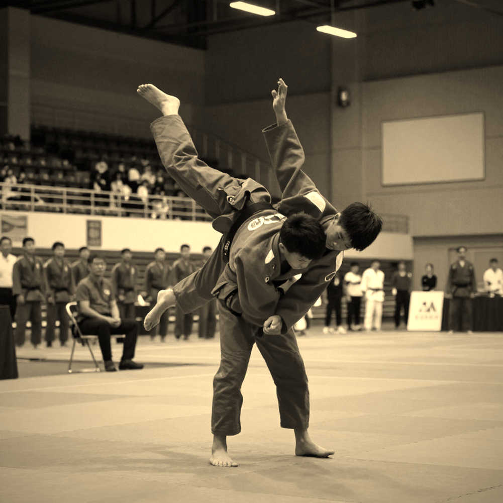 Võ thuật Việt Nam 2026: Bản đồ toàn cảnh làng thể thao đối kháng từ Vovinam đến sàn MMA chuyên nghiệp