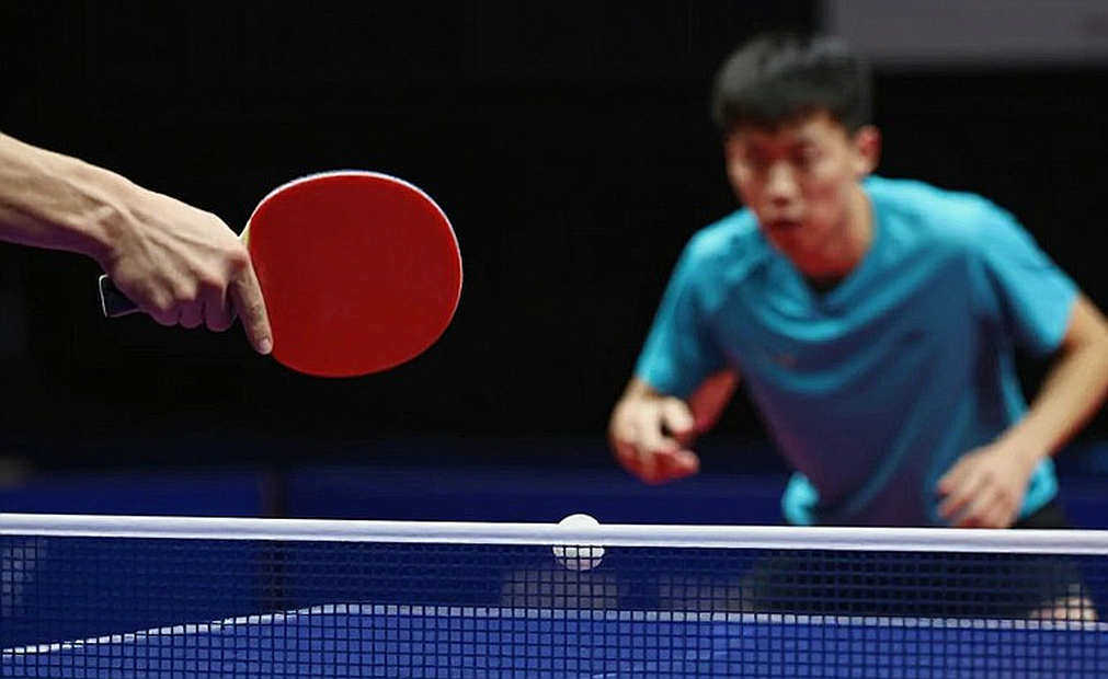 Cú đúp Bồ Đào Nha tại Belgium Open 2026: Danh hiệu thật, tín hiệu mơ hồ